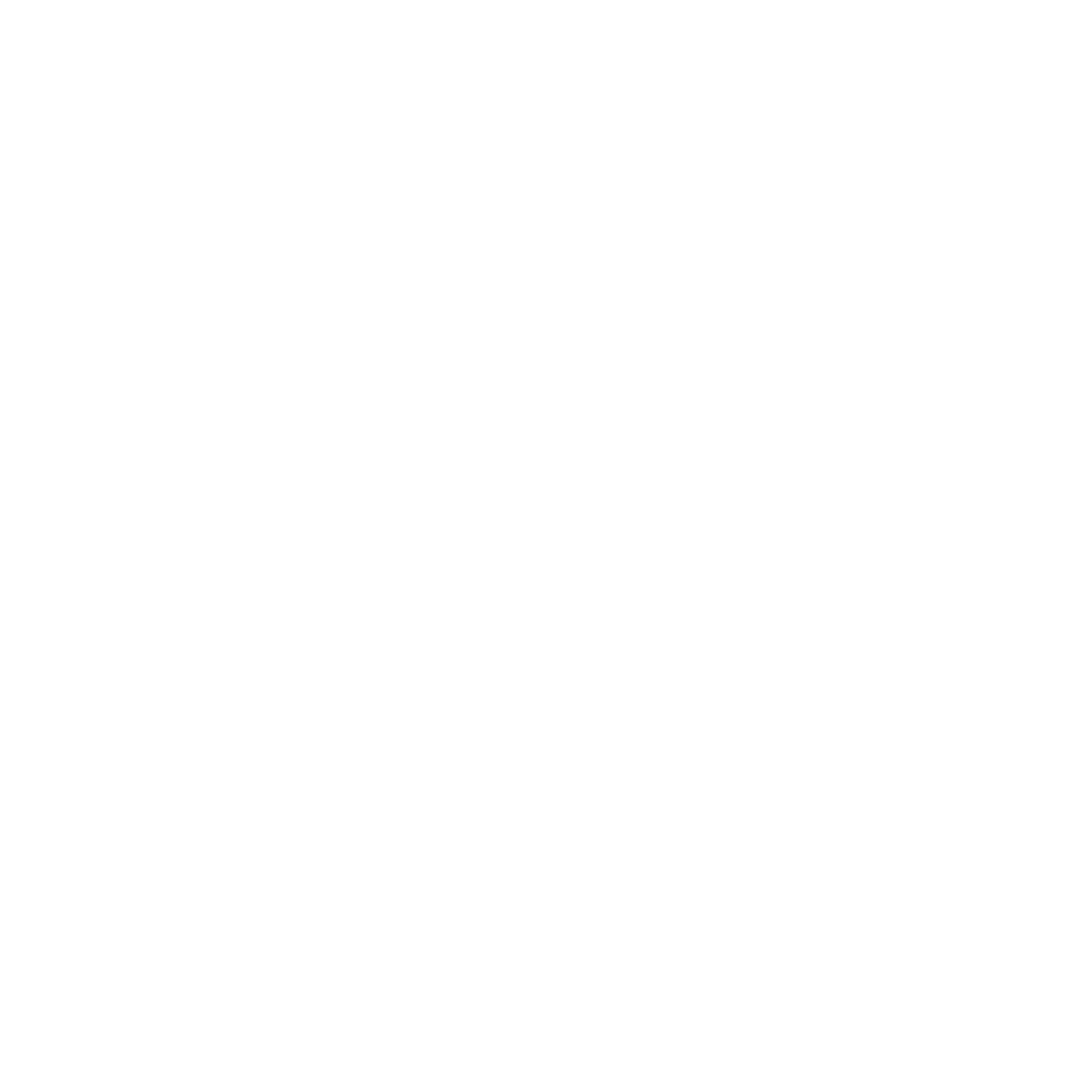 Logo NAZCA blanco